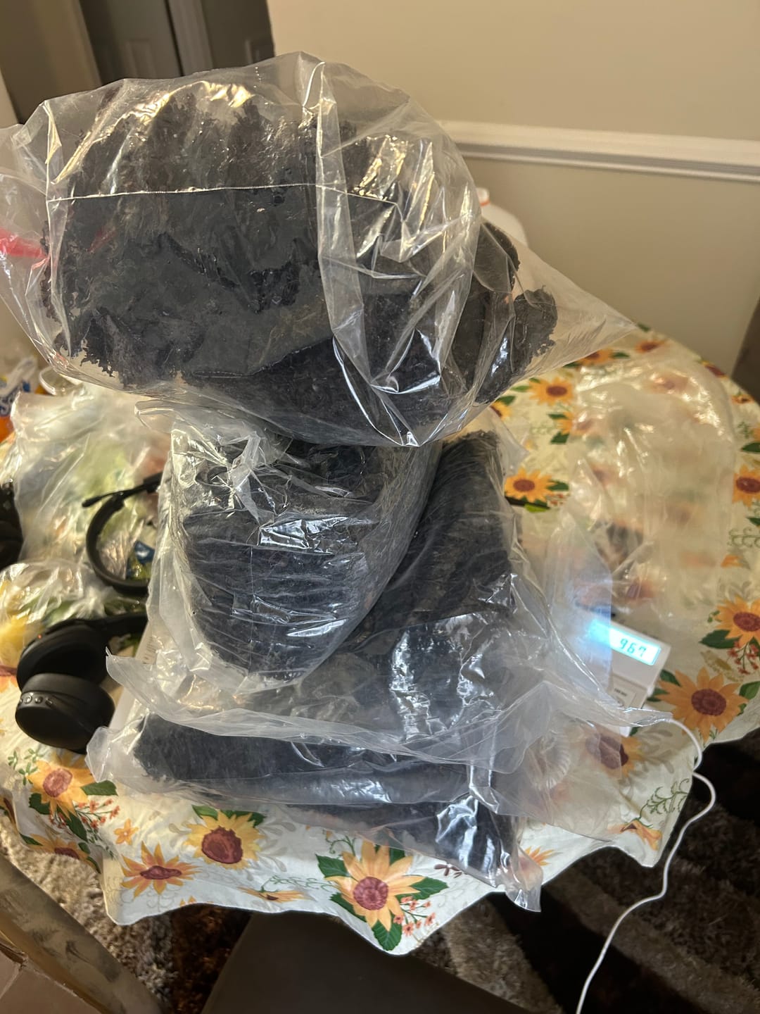 Customer photo review of Purple Chondrus Dr Sebi Sea Moss High Mineral Content Real Wildcrafted Sea Moss from the rocks-