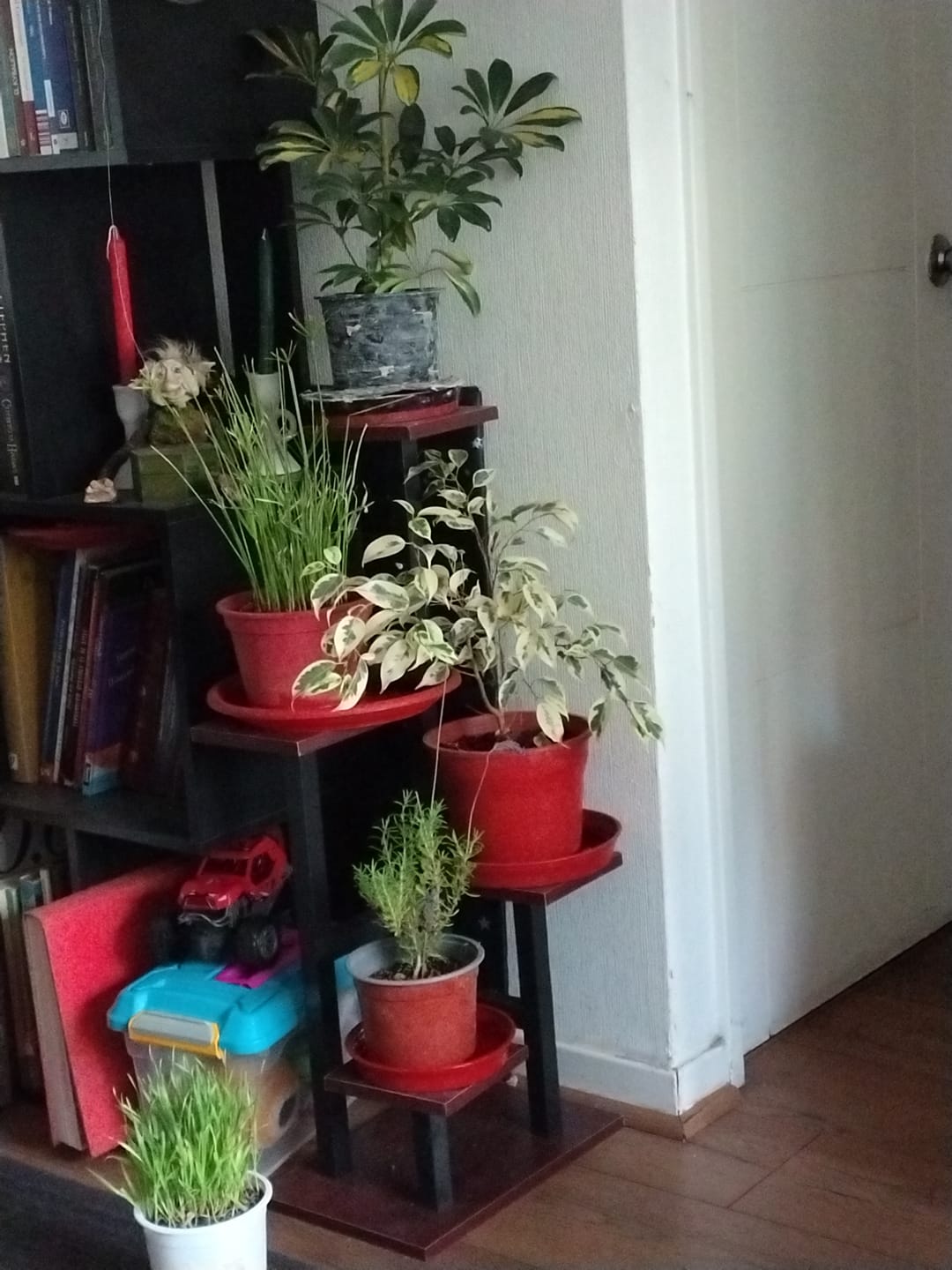 Customer photo review of Estante para Plantas de Madera | Soporte Decorativo Multiuso