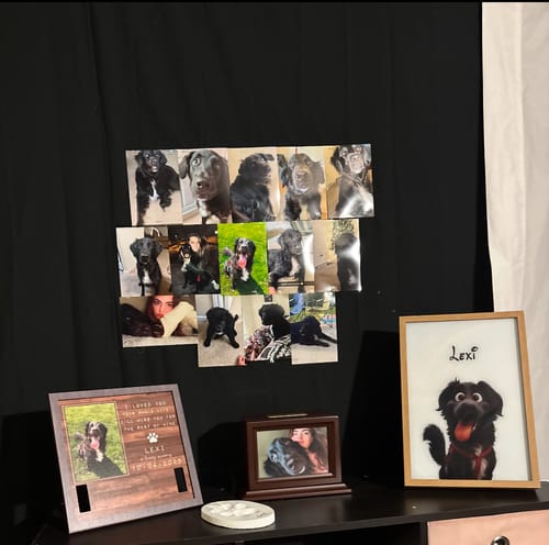 Customer photo review of Magical Pet Portrait LED Night Light