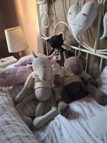 Customer photo review of PIOTR, LE LOUP - GRAND