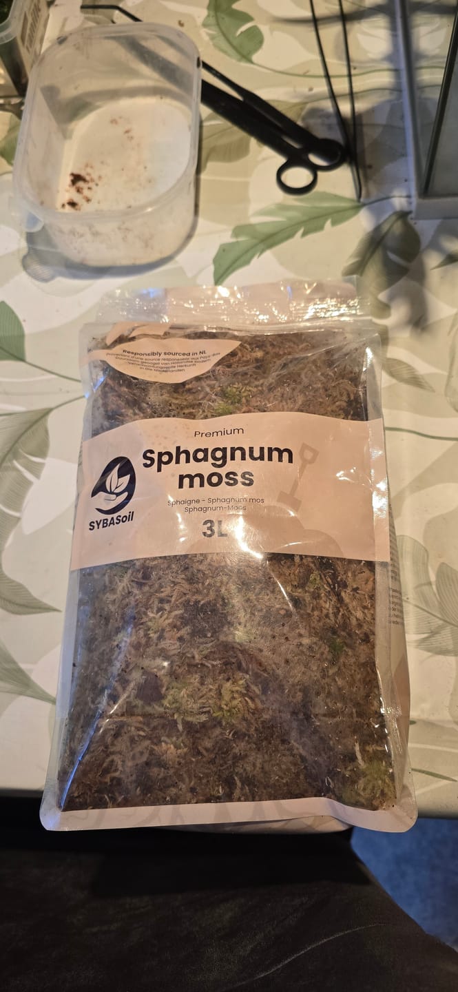 Customer photo review of Sphagnum Moss