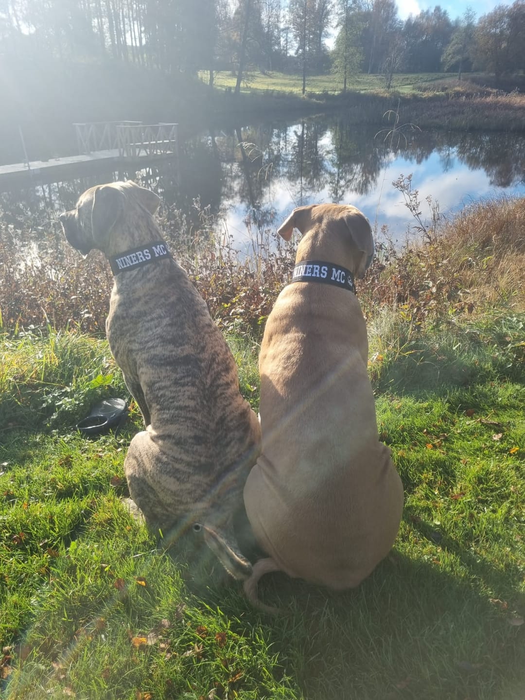 Customer photo review of Antislip Leash Black - Starkt antiglid koppel