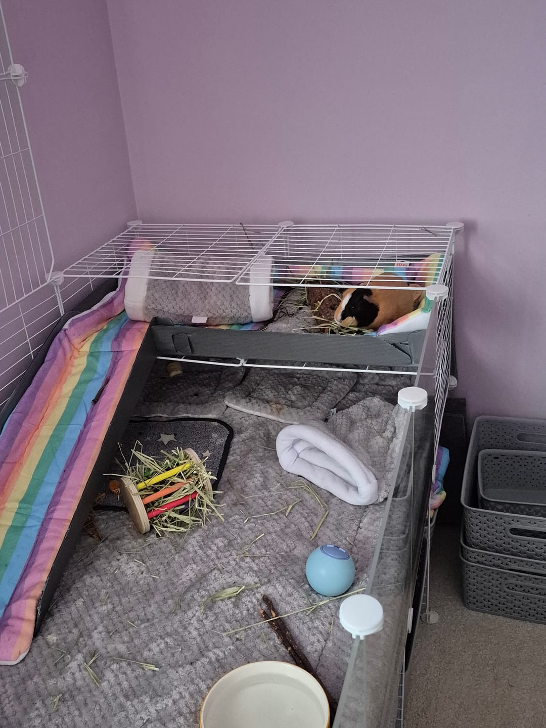 Customer photo review of Set of 2 Fleece Liners | Radiant Rainbow