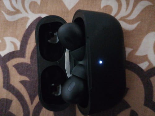 Customer photo review of LOT Earbuds - Random Color