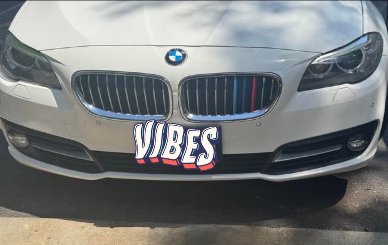 Customer photo review of SPCRSO M-Colored Tri Grille Insert Trim Strips for BMW F10 & F11 (2010-2016) | Compatible with 10-Beam Standard Chrome Grilles | Easy Clip-on Installation