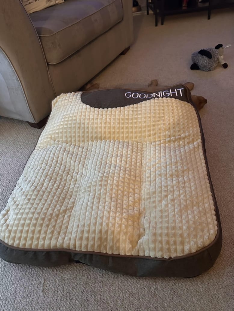 Customer photo review of Dozer - Hondenbed Grote Honden Orthopedisch