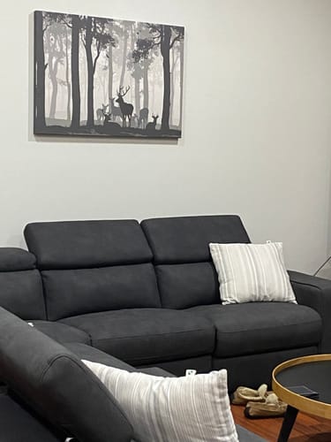 Customer photo review of MONOCHROME WILDLIFE CANVAS