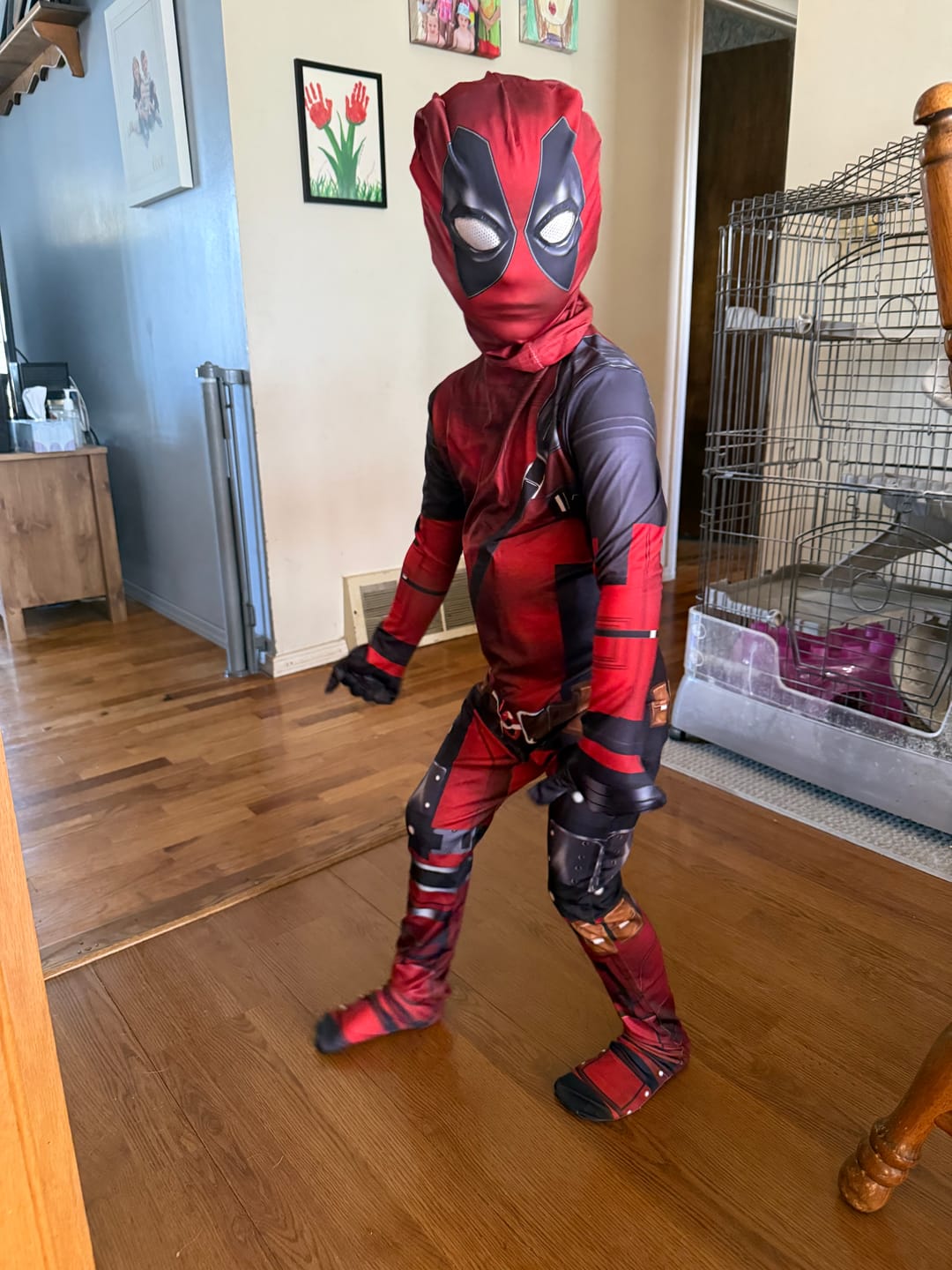 Customer photo review of Deadpool Costume for Kids and Adults