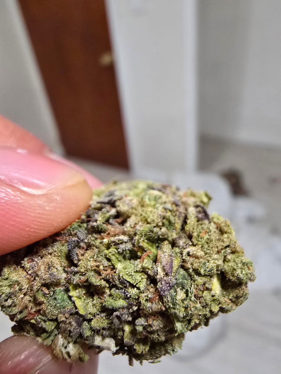 Customer photo review of Greenhouse Flower
