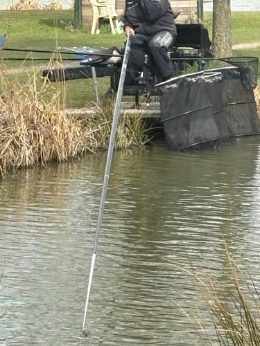 Customer photo review of PRO EXPANDER PELLETS 500g