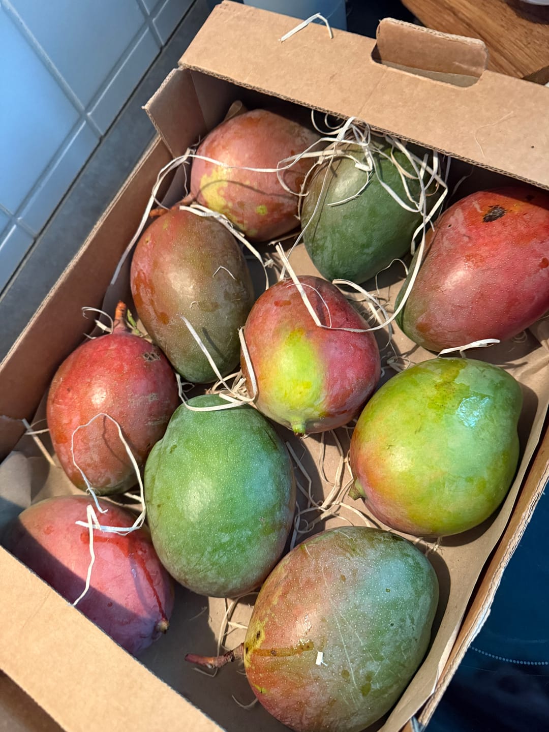 Customer photo review of Mango Keitt Sonderaktion % Box 4kg