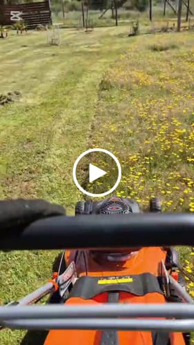 Customer video review of Cortacésped van Beek 6.5HP de empuje modelo CSvB200M