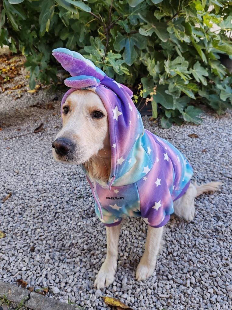 Customer photo review of Halloween Dog Hoodie - Unicorn