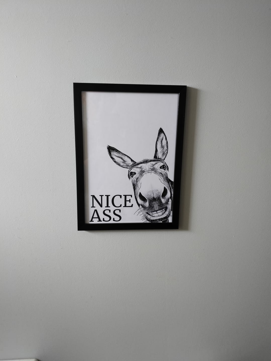 Customer photo review of Nice Ass
