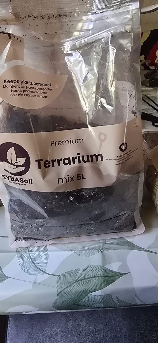 Customer photo review of Terrarium Mix