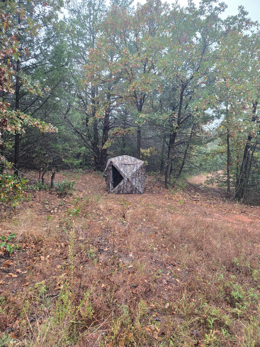 Customer photo review of Tidewe VisST Pop-Up Ground Blinds with See-Through (Silent Magnetic Door)