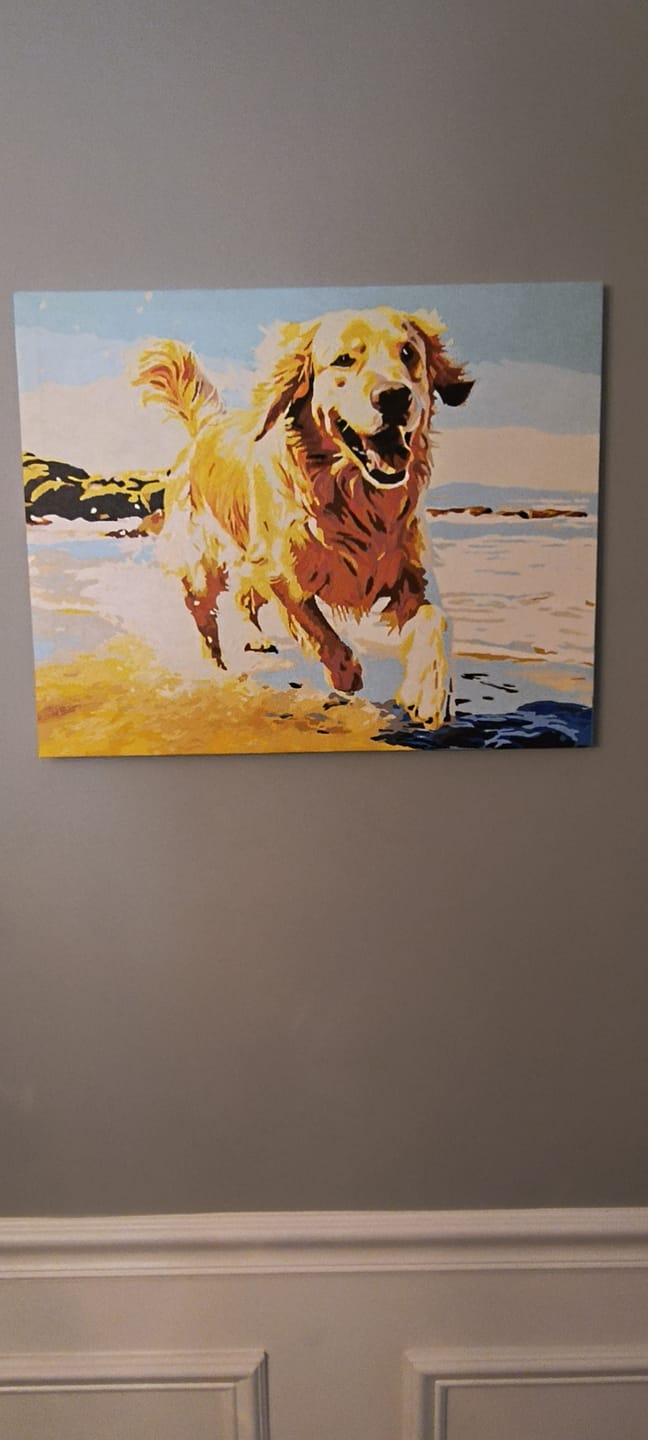 Customer photo review of Beach Day