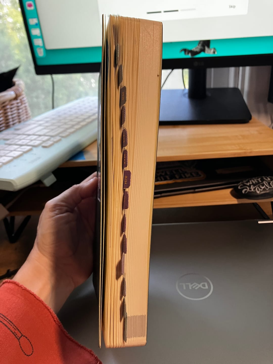 Customer photo review of Monthly Index Tabs