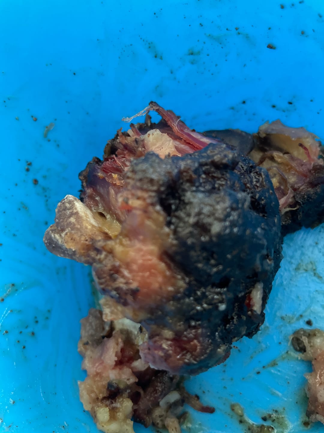 Customer photo review of Famous 'OG' Oxtail Softballs