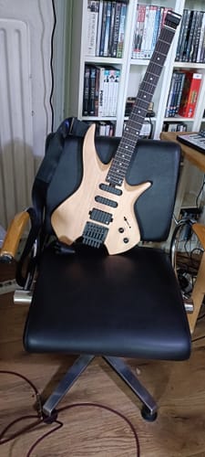 Customer photo review of Donner NHL-500 Headless E-Gitarre