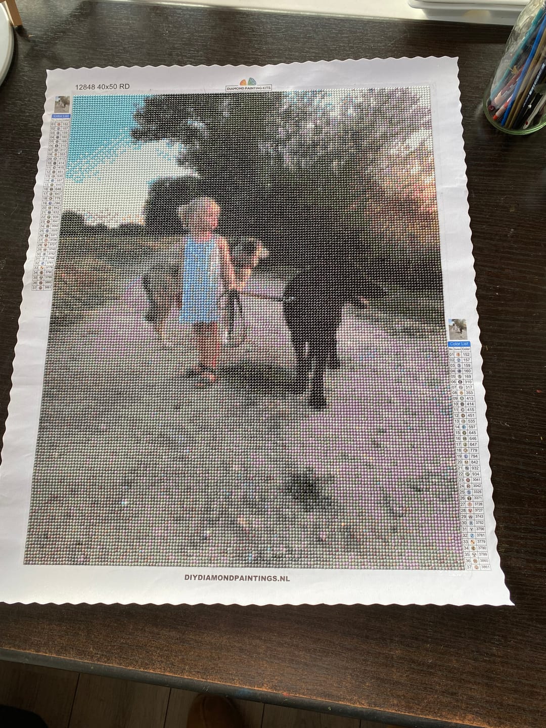 Customer photo review of Diamond Painting Eigen Foto