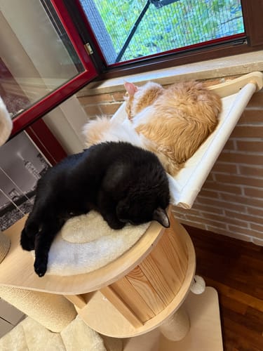 undefined review of 2 Diffusori Calmanti PetNatura image 1 out of 1