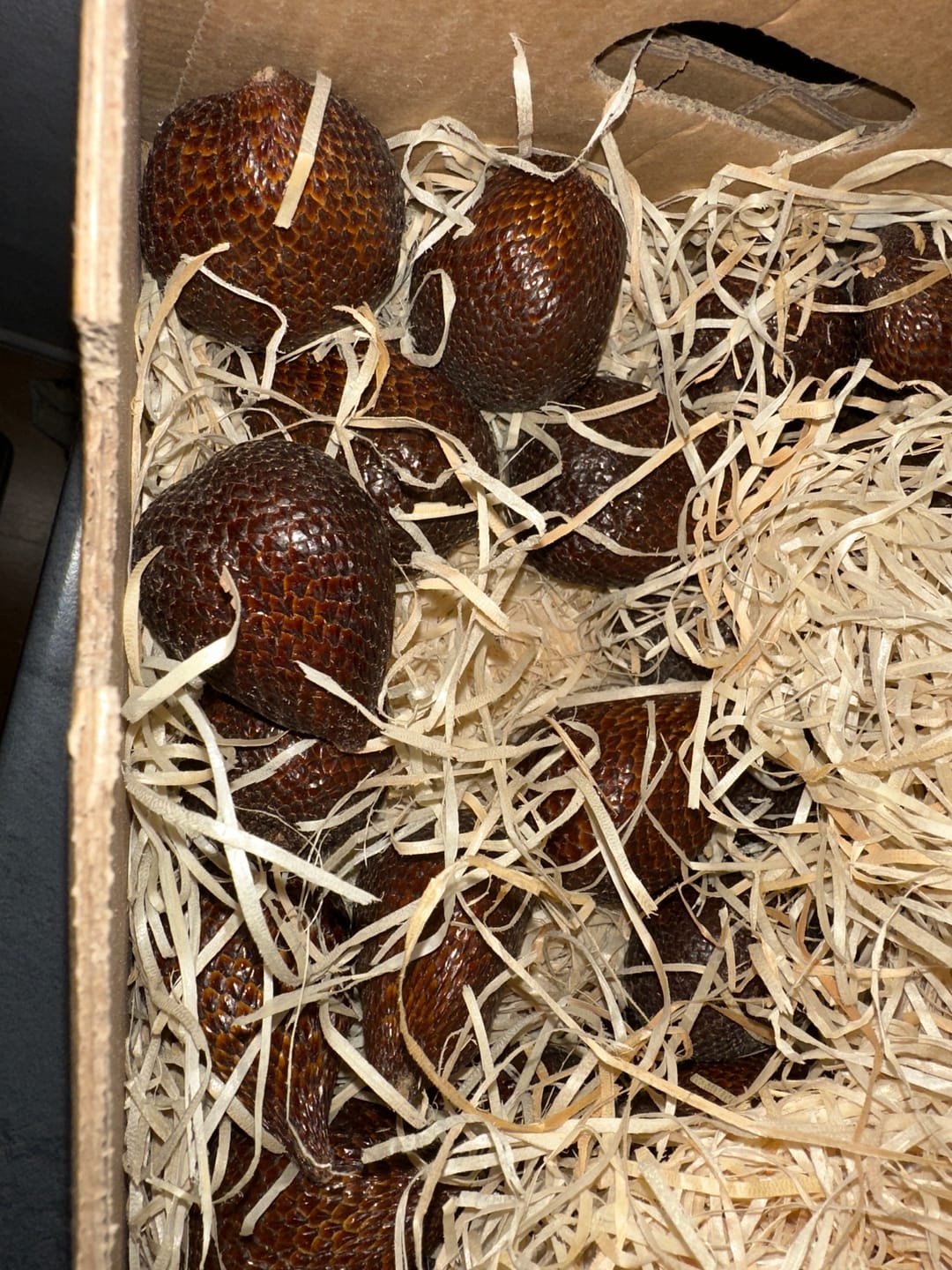 Customer photo review of Salak (Schlangenfrucht) naturbelassen