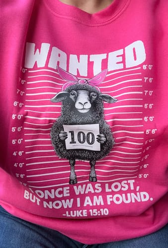 Customer photo review of Lost Sheep Sweatshirt