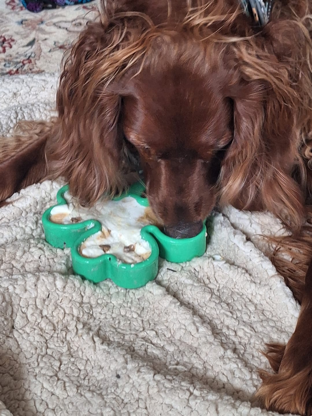 Customer photo review of FreezSwirl - Durable Stimulation Toy