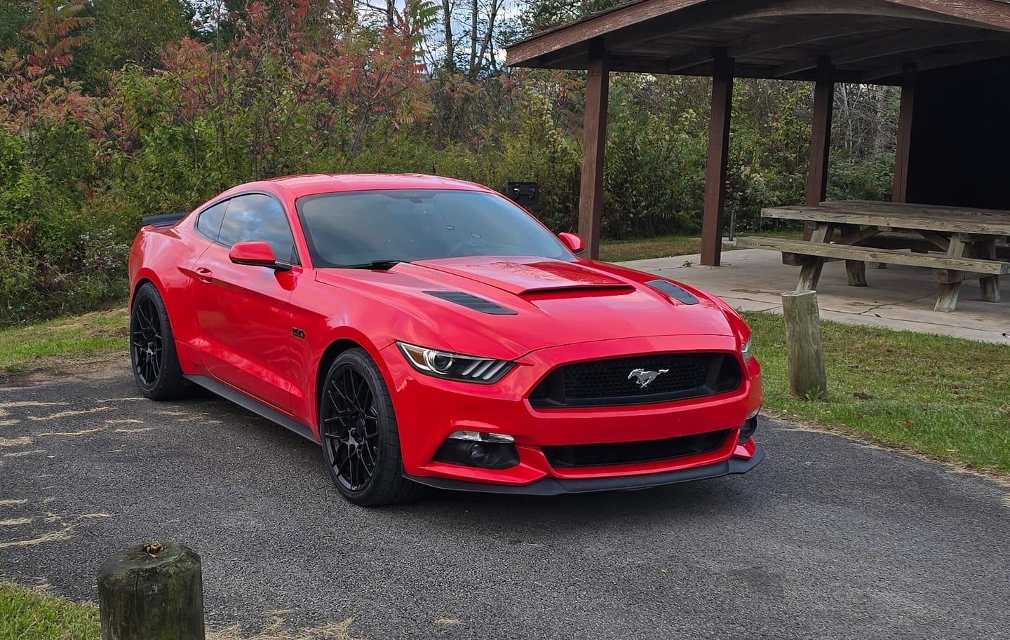 Customer photo review of BLACKLINE® SPEED GLOSS QUICK DETAILER