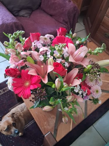 Customer photo review of Florist Choice Bouquet