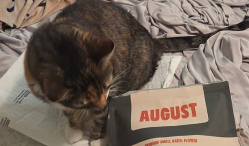 Customer photo review of Exotic Shake