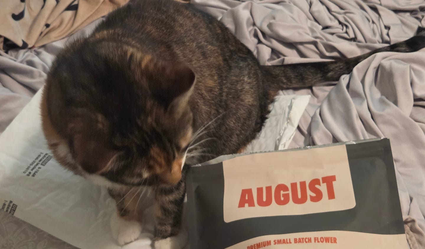 Customer photo review of Exotic Shake