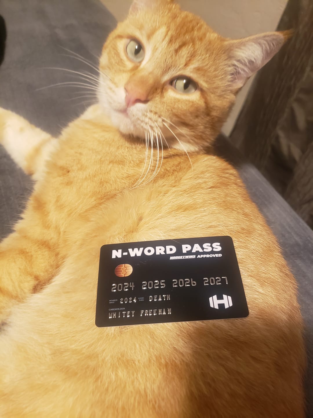 Customer photo review of N-Word Pass Card