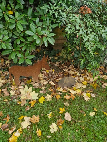 Customer photo review of Gartenstecker Igel