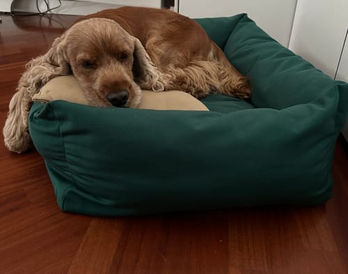 Customer photo review of Cover in Tessuto Dralon Verde Bosco