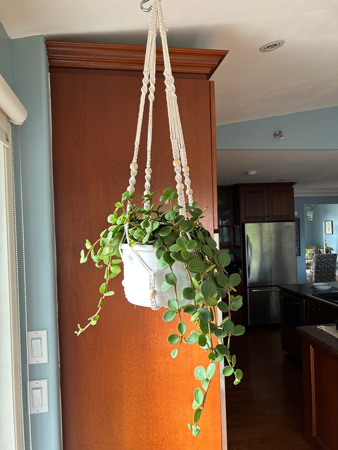 Customer photo review of Kelpy Food for Plants