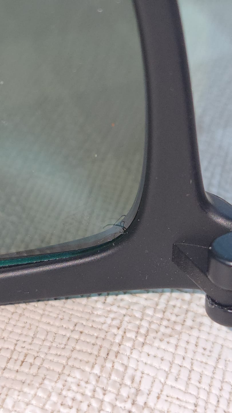 Customer photo review of BAKER RACER X