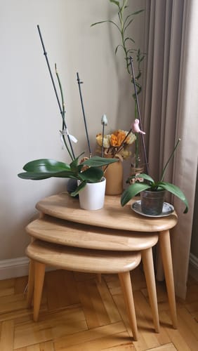Customer photo review of 3'lü Zigon Sehpa - Masif Kestane Sehpa Takımı