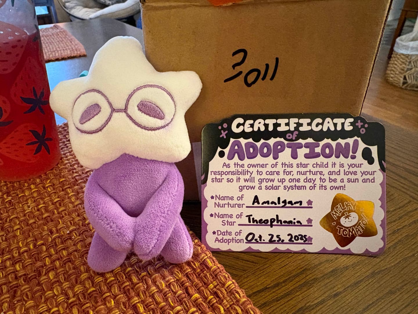 Customer photo review of Adopt a Star Baby Plush Blind Box
