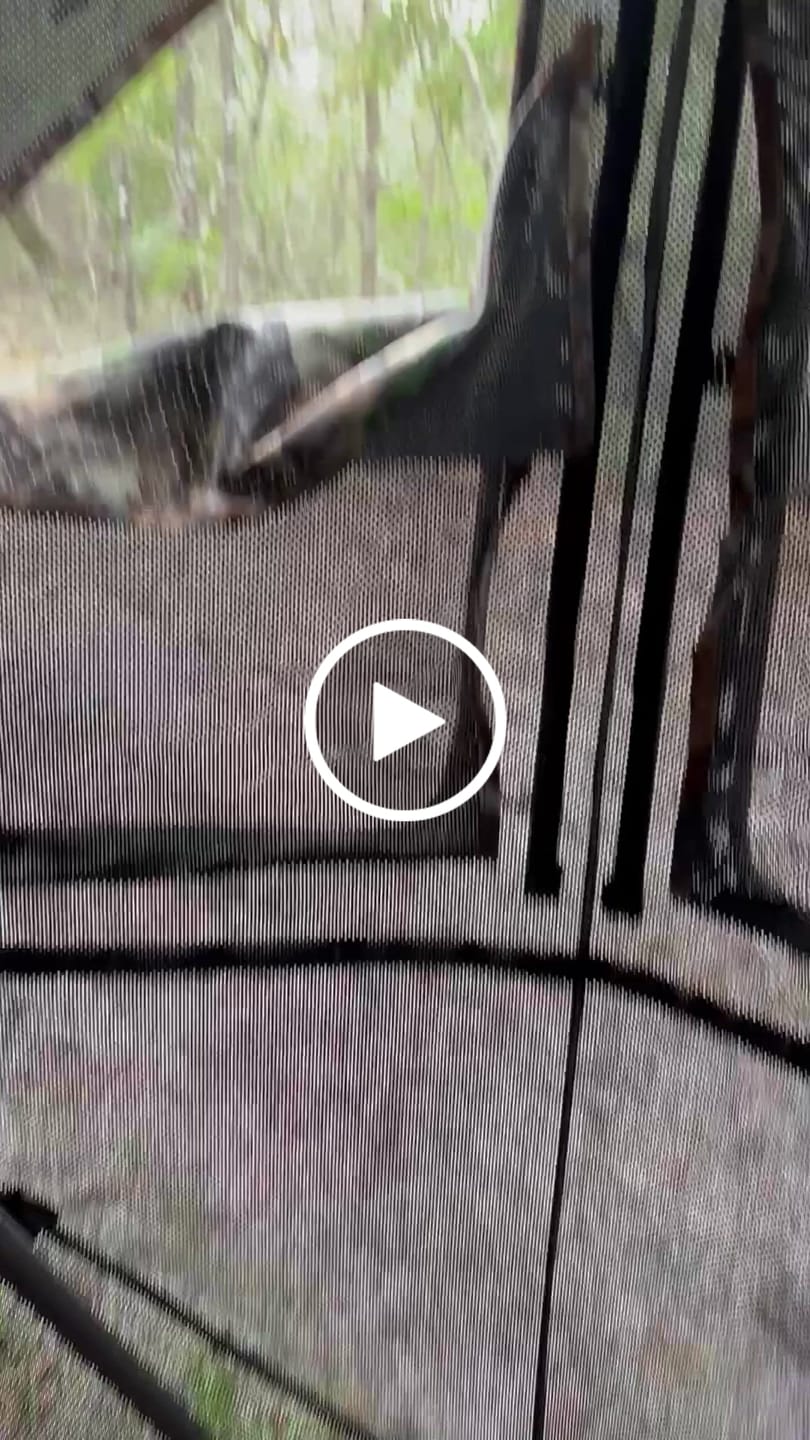 Customer video review of OptiVue 360° Ultra-HD See-Through Hunting Blind with 90° Full-Access Door