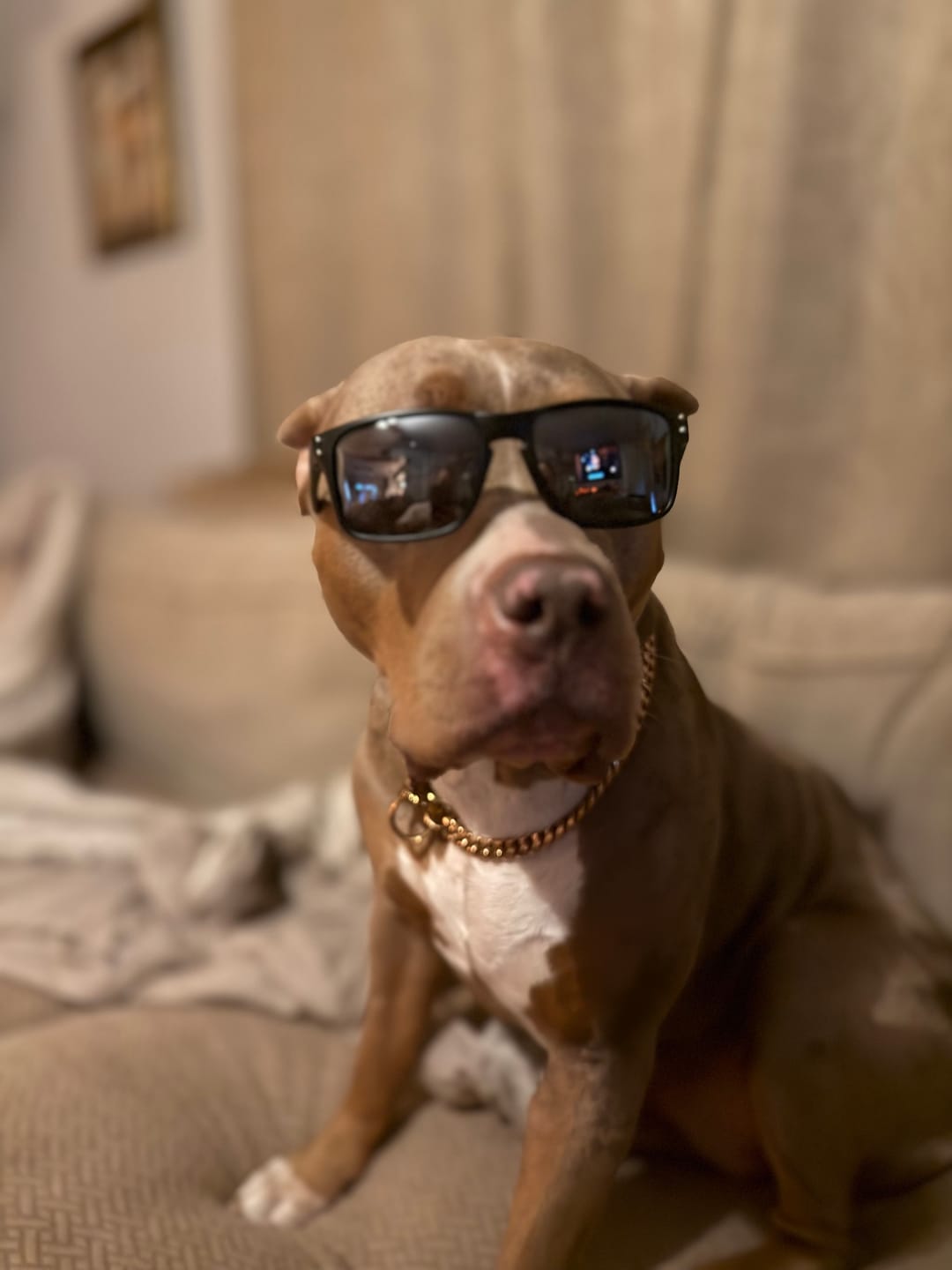 Customer photo review of 80Eighty® Polarized Sunglasses - Black Chrome