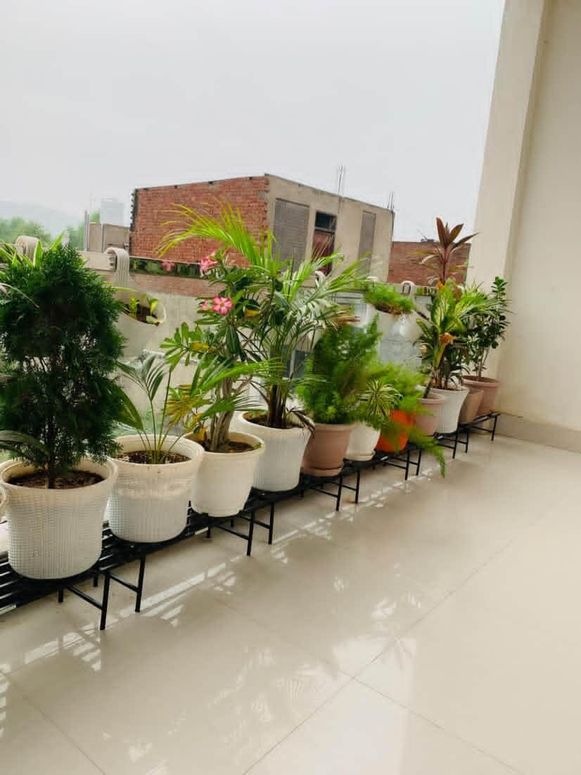 Customer photo review of TryGreen Hexa Metal Pot Stands for Planters