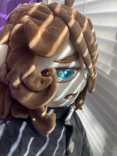 Customer photo review of Turn Kid‘s Drawings into Plushies