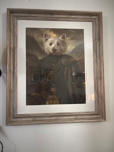 Customer photo review of The Highlander - Custom Pet Portrait
