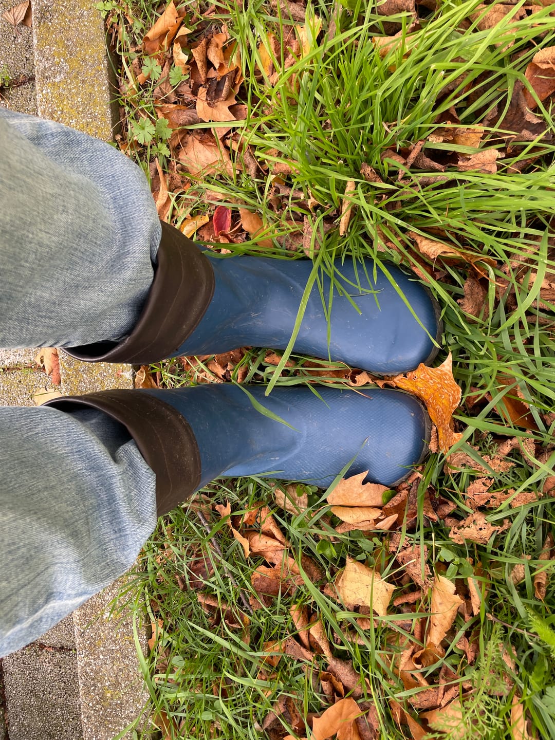 Customer photo review of Brisk Ⅰ - Barfuß-Gummistiefel