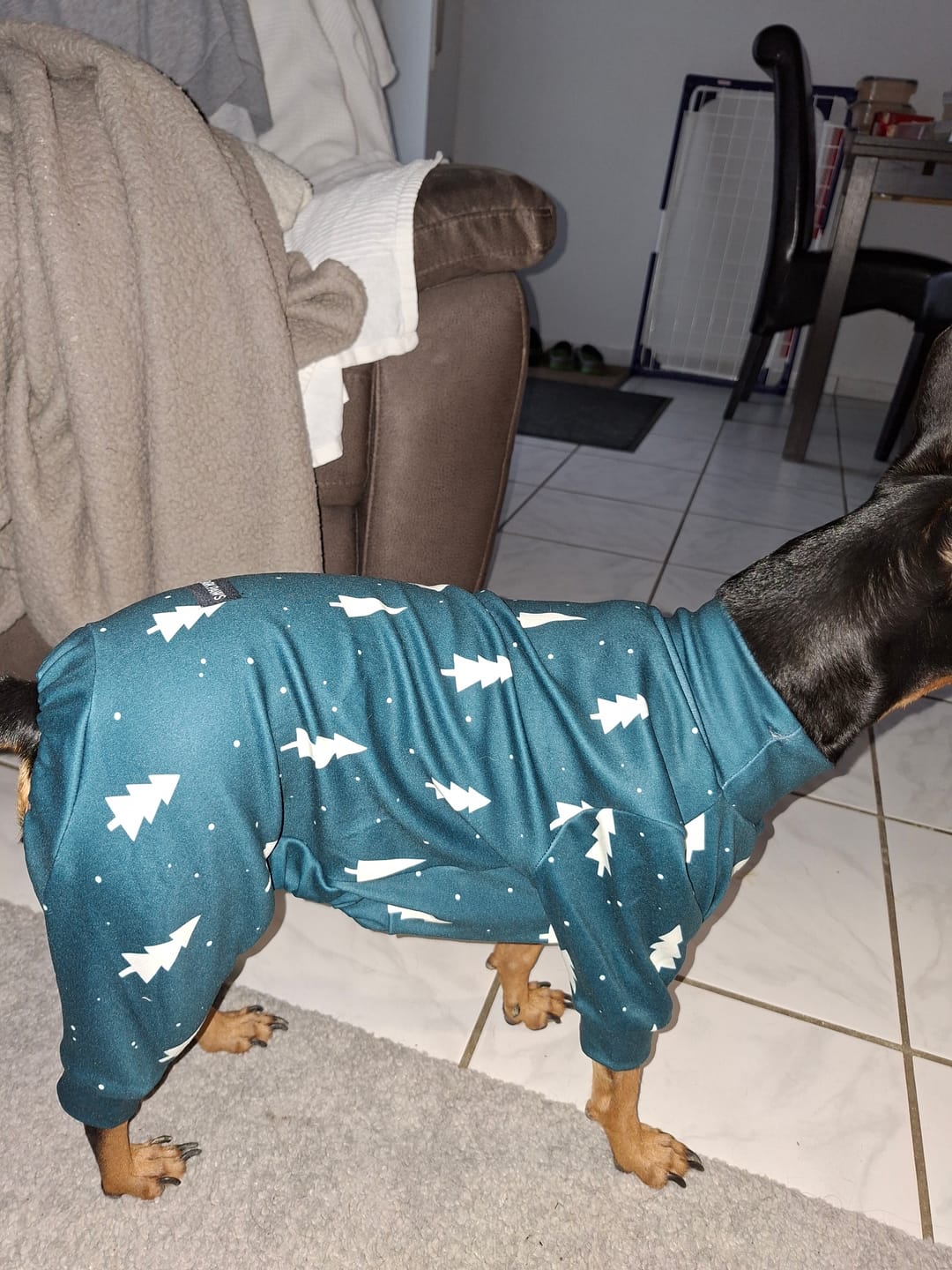 Customer photo review of Dog Christmas Pajama - Frosty Pines