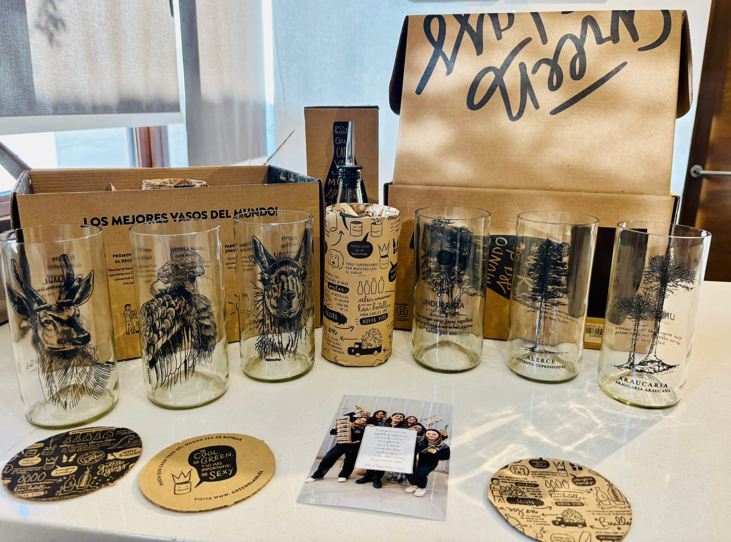 Customer photo review of Árboles de Chile - Juego de 6 Vasos - 500 ml