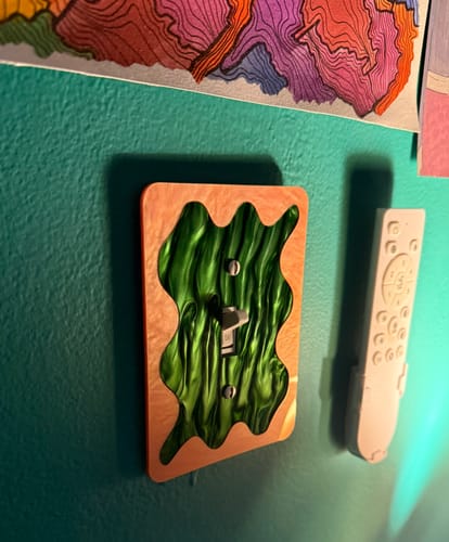 Customer photo review of Rocky Light Switch Cover