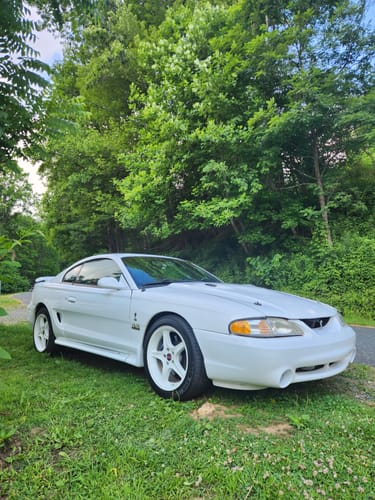 Customer photo review of Limlex® Platinum Car Care Set